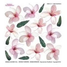 Folie Sospeso Trasparente- Rose Magnolia